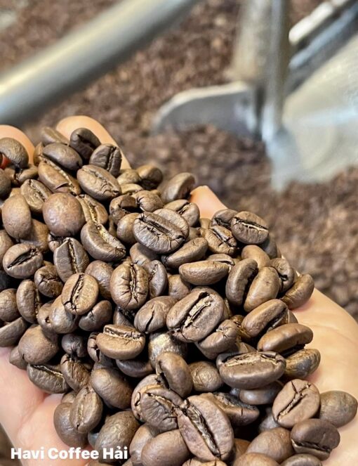 HẠT CÀ PHÊ RANG XAY ROBUSTA Túi 500g - Hình ảnh 2