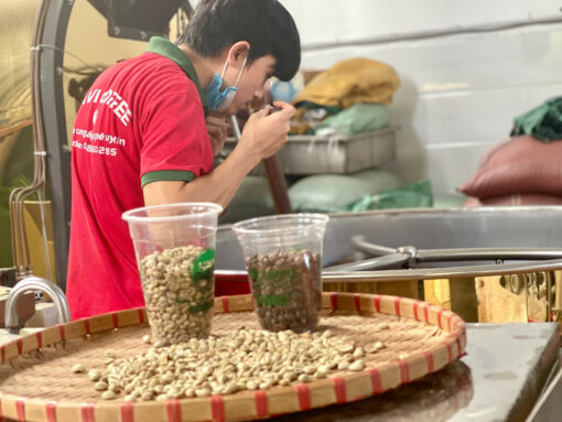 CÀ PHÊ RANG XAY MOKA ĐÀ LẠT TÚI 500G - Hình ảnh 4